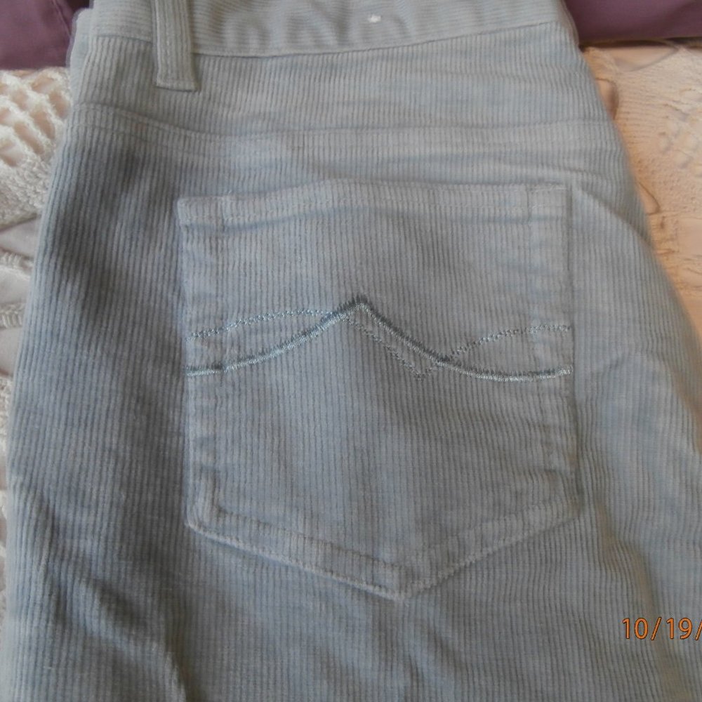 Corduroy light blue pants (size 9)